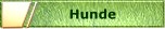 hunde